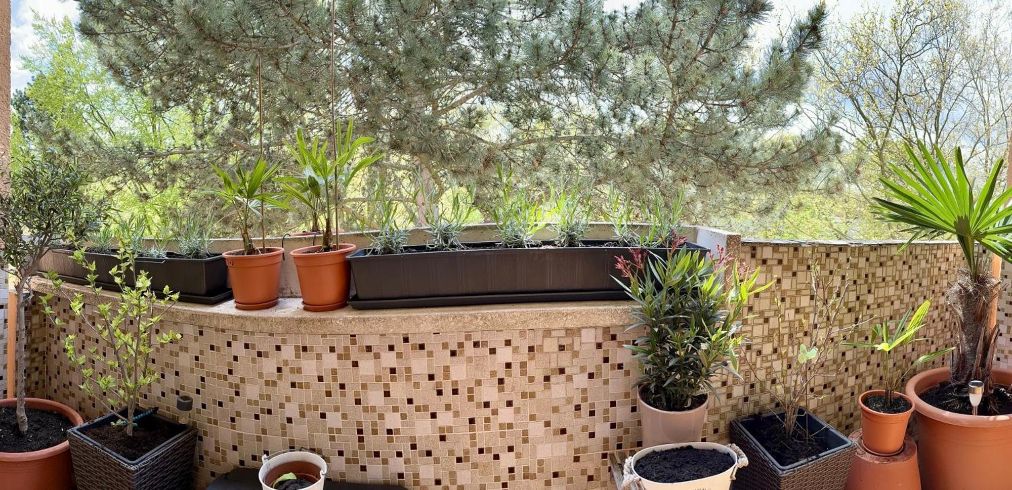 Southside - Kueche, Nespresso, Balkon